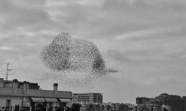 Contemplazioni urbane